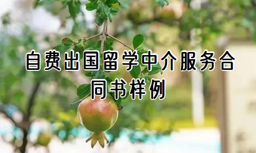 自费出国留学中介服务合同书样例(15篇)